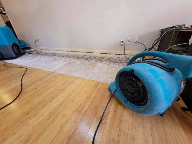 Professional Water Removal technician working in Milledgeville, OH